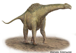 Ampelosaurus (Eva)