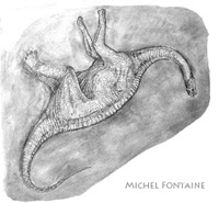 Crayonn d'un Dinosaure ralis sur le terrain - Michel Fontaine