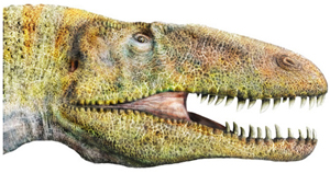 Dubreuillosaurus Valesdunesnsis, mgalosaure normand
